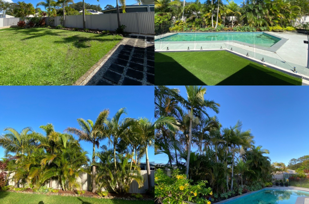 Property Maintenance - Transform Tree Care